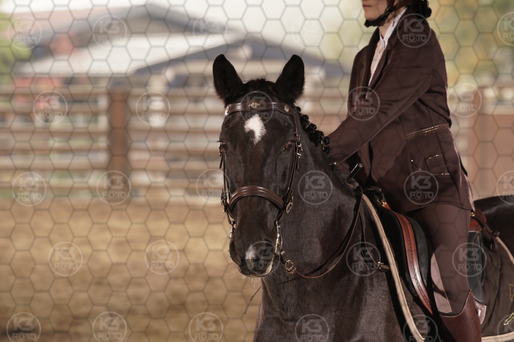 s_K3F08757.JPG